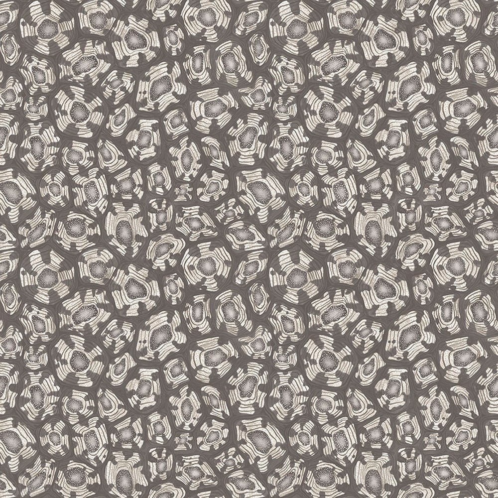 Savanna Shell Wallpaper 119 4023 by Cole & Son in Soot Snow Metallic Silver